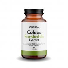 Coleus Forskohlii extract 60 kaps