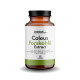 Coleus Forskohlii extract 60 kaps